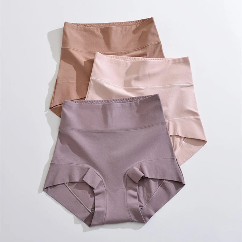 Bee GentleHold High-Waist Briefs